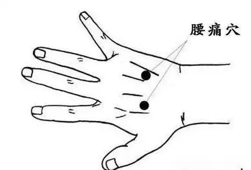 只要找到它,用拨筋棒点按,刮拨,就能有效缓解腰痛!