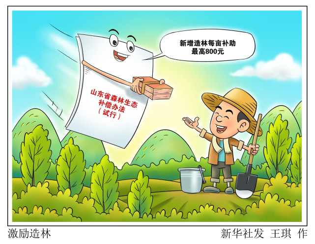 为激励各地植树造林,改善生态,山东省财政厅,自然资源厅近日制定印发