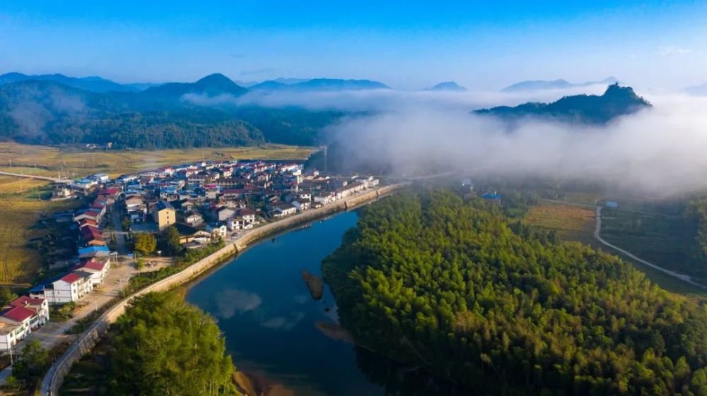 閩北美景|光澤:管蜜村雲海美不勝收!村莊若隱若現,茶海鋪滿畫卷