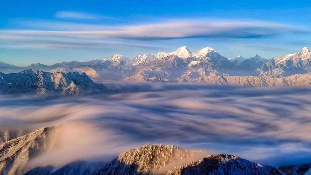 698元人牛背山成牛贵山官方最新回应