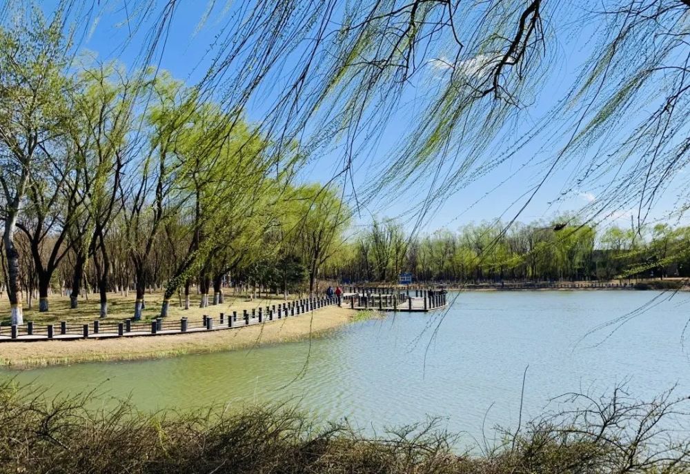 春去冬来又一春五年,朝阳快速蝶变时光不语,静待花开未来每一个四季