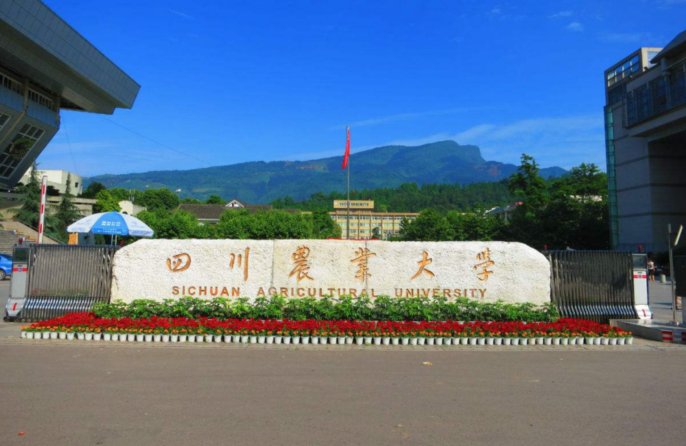 四川省“省属大学”前三强，都具有自身特色，在西南地区就业率高