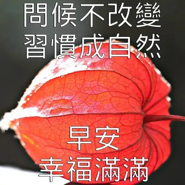 最美早上好图片带字带祝福语,免打字聊天的清晨早安问候祝福语