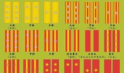 聯隊大佐二戰時日軍軍銜和編制有多奇葩具體是怎麼樣的