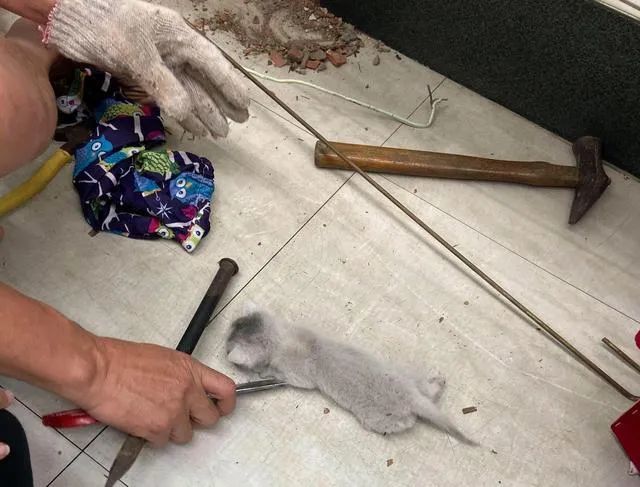 为什么挖墙皮起鸡皮疙瘩(腿上的鸡皮疙瘩怎样才能消除) 为什么挖墙皮起鸡皮疙瘩(腿上的鸡皮疙瘩怎样才能消除)