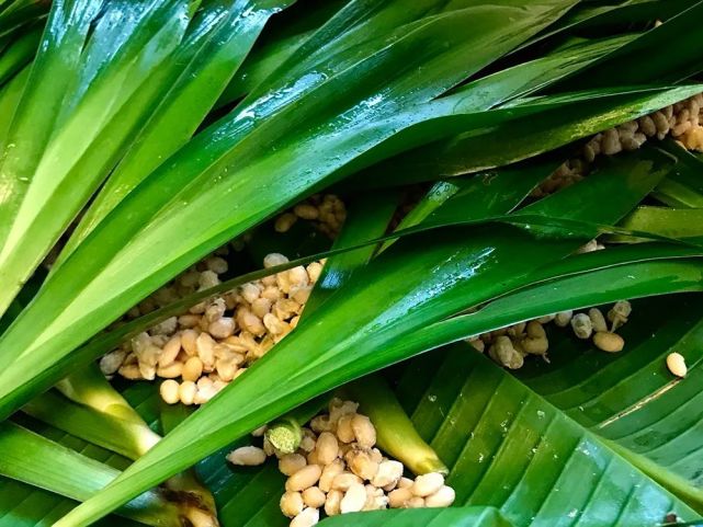 腾讯内容开放平台