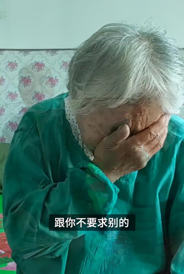 不孝女曹茜:留学失联17年,患癌父母却得知女儿已是外籍大学教授