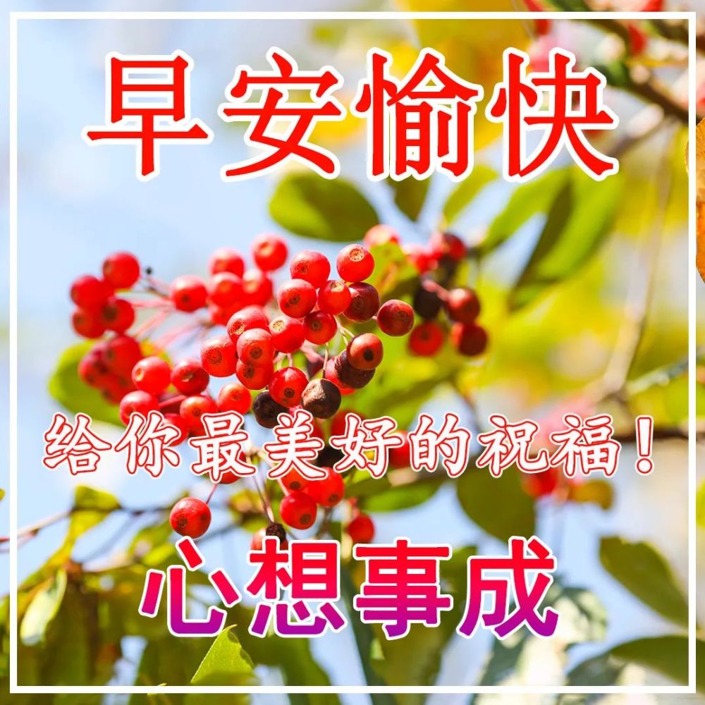 早晨问安:珍重过程,便是善待生活,早安!