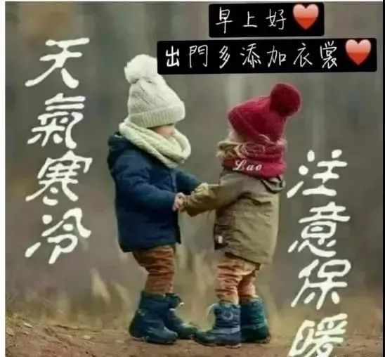 问候跟着来报到,给你道声早,祝你一天幸福乐逍遥,早安!