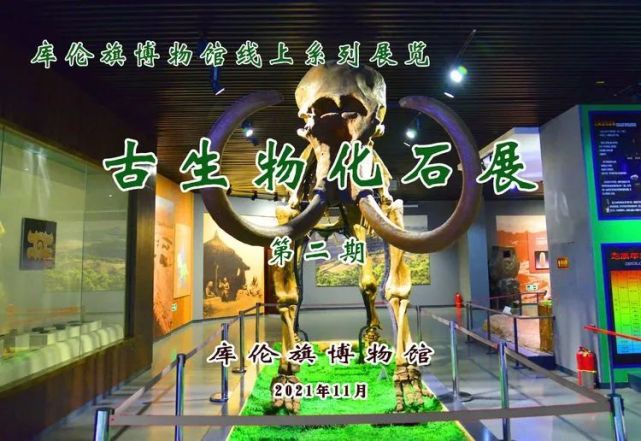 庫倫旗博物館線上系列展覽第二期古生物化石展