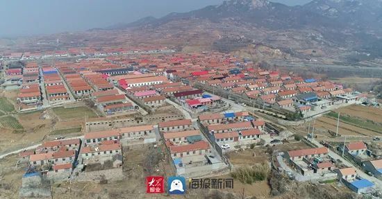 日照这个村多次被国家,省媒体报道!因为