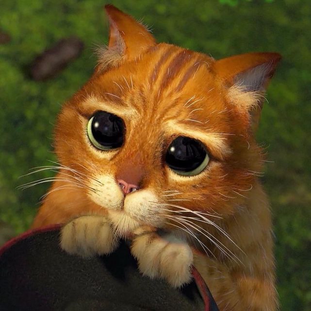 一个强大无比的技能:遇到强敌打不过的时候,它就会通过卖萌来征服强敌