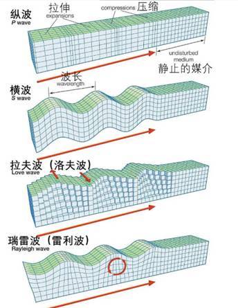 西藏发生5.8级地震,牧民有震感但羊群无动静,不是动物先感知吗