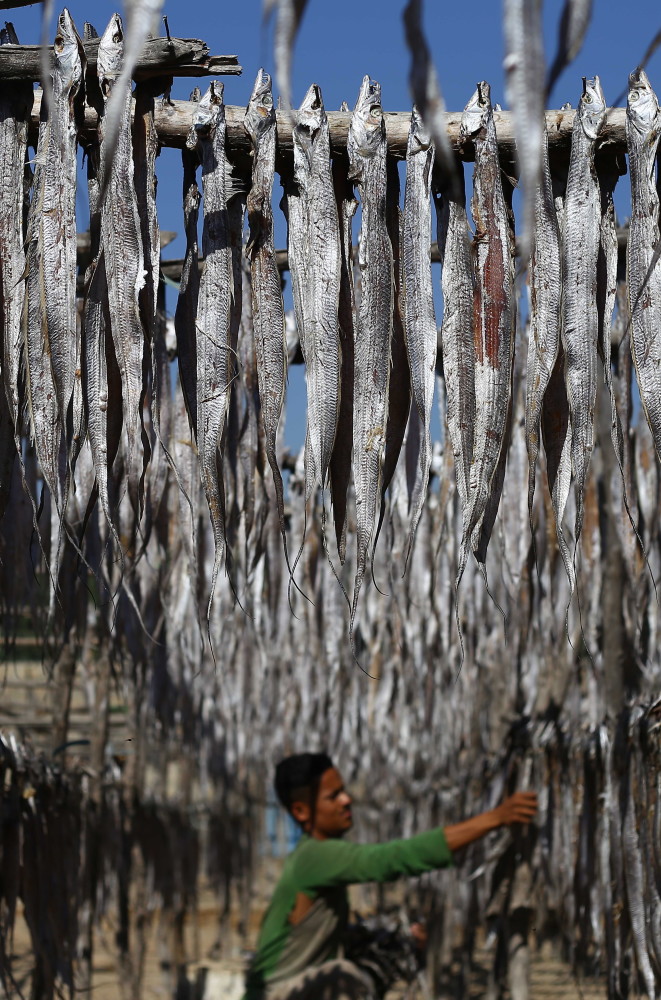 外代二线晾晒鱼干