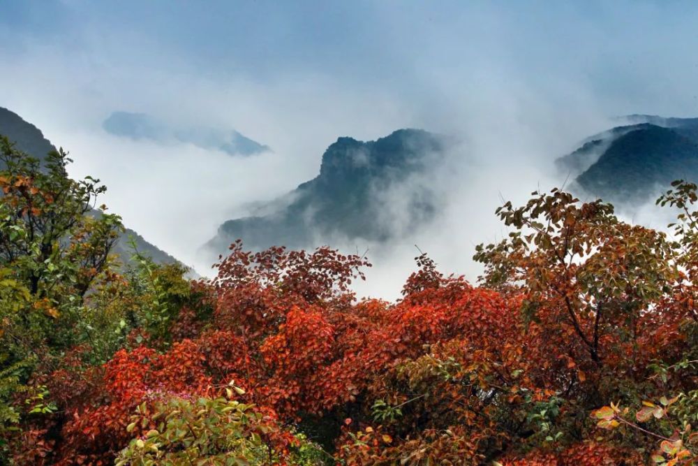 沁陽這幾大美景你都見過嗎