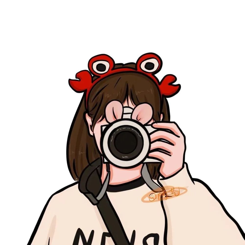 网站建设入门相机女生头像的简单介绍