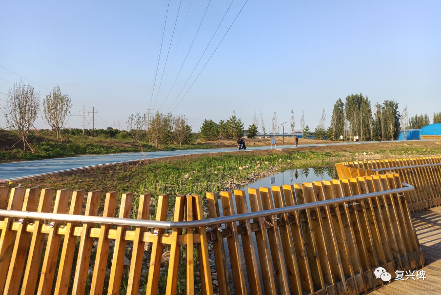 難道最早規劃的千年秀林,就這樣在雄安諸多的公園綠地中