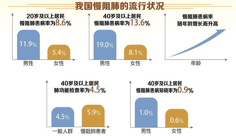 慢阻肺的病因图片