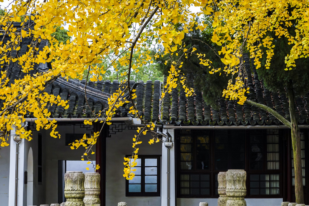 中国最具幸福感城市,苏州的冬天颜值逆天,难怪许多人来这养老