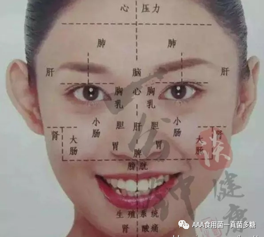 颜面望诊【面诊实用诊法】