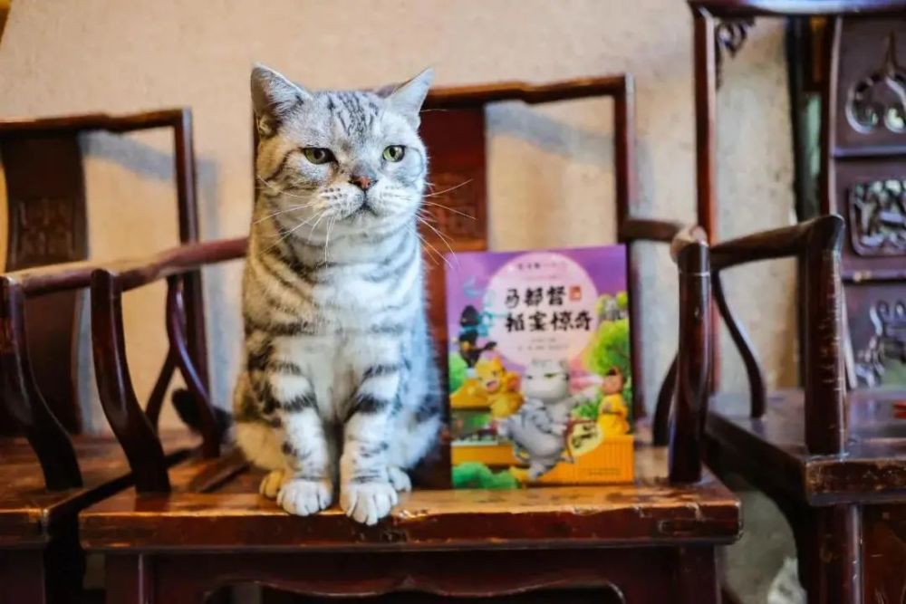 《观复猫小学馆》又出新书的说~马都督穿越到明朝,上演了一出《马都督