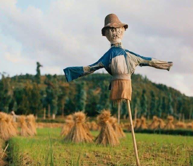 此國用稻草人在邊境站崗看完我們軍人的做法後網友紛紛點贊