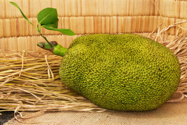 壹健康小知识菠萝蜜有点生能吃吗菠萝蜜剥开了还能催熟吗