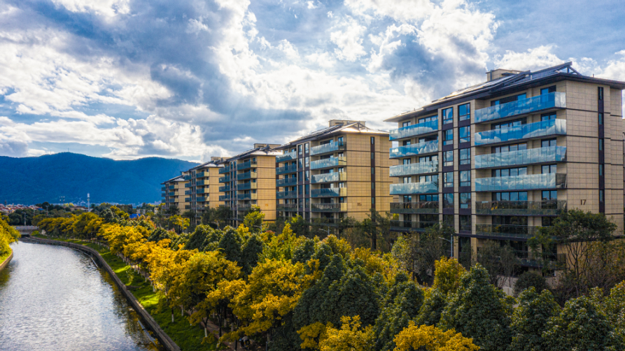 用镜头捕捉湾区的美好华夏阳光第二届湾区摄影大赛即将开启