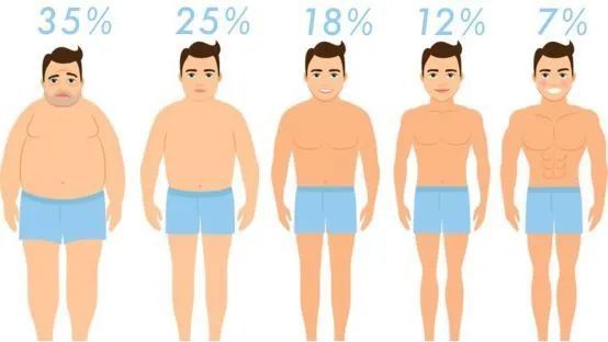 脂肪|体重|体脂率