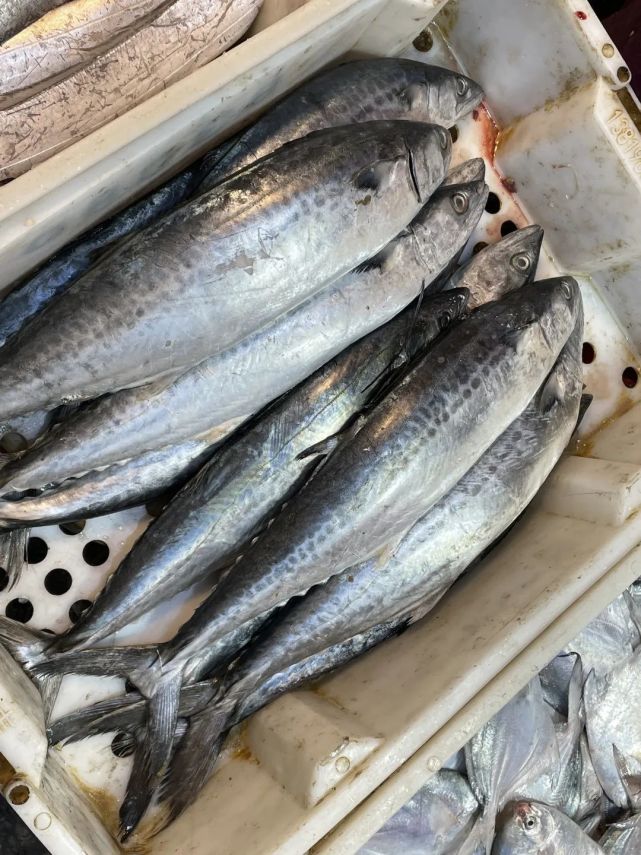 十二月的烟台,这八大海鲜你一定不能错过!