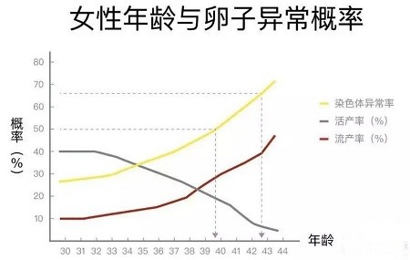 如果為了事業錯過受孕的黃金年齡,等到卵巢功能明顯下降,再接受任何