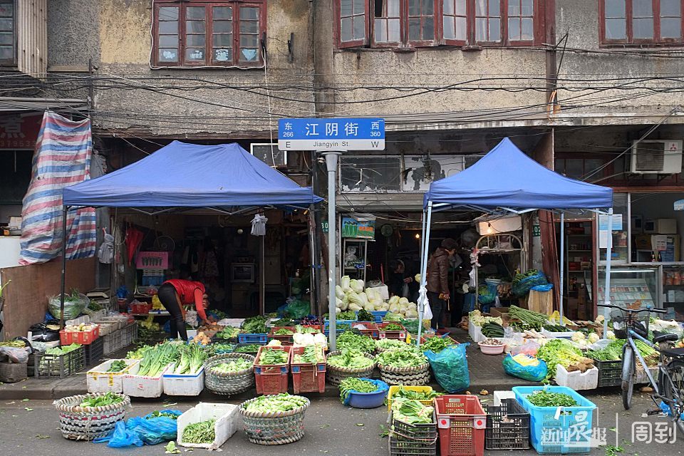 江阴路花鸟市场图片