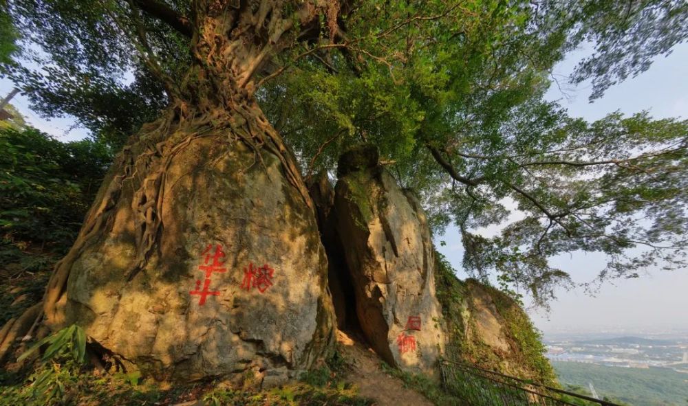 莆田二十四景之美麗荔城