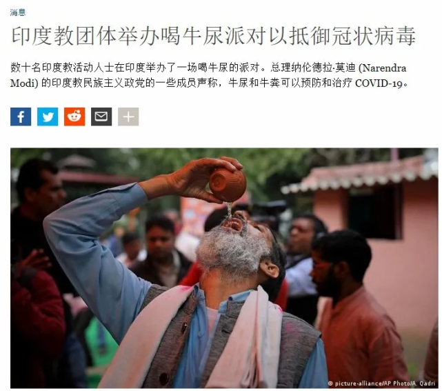 印度人喝牛尿吃牛粪,到底是圣牛传统,还是驭民之术?