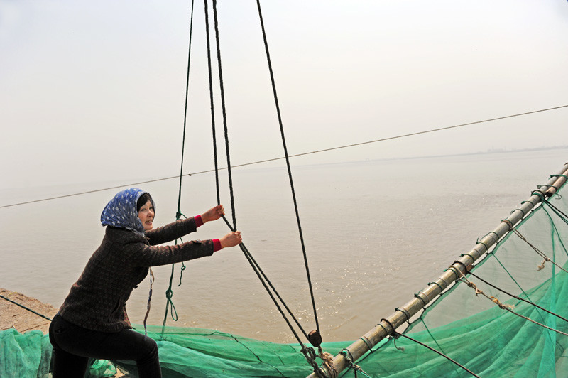 捕鳗鱼苗渔民捕到鳗鱼苗后,会有专门的收购商上门收购,他们只是初级的
