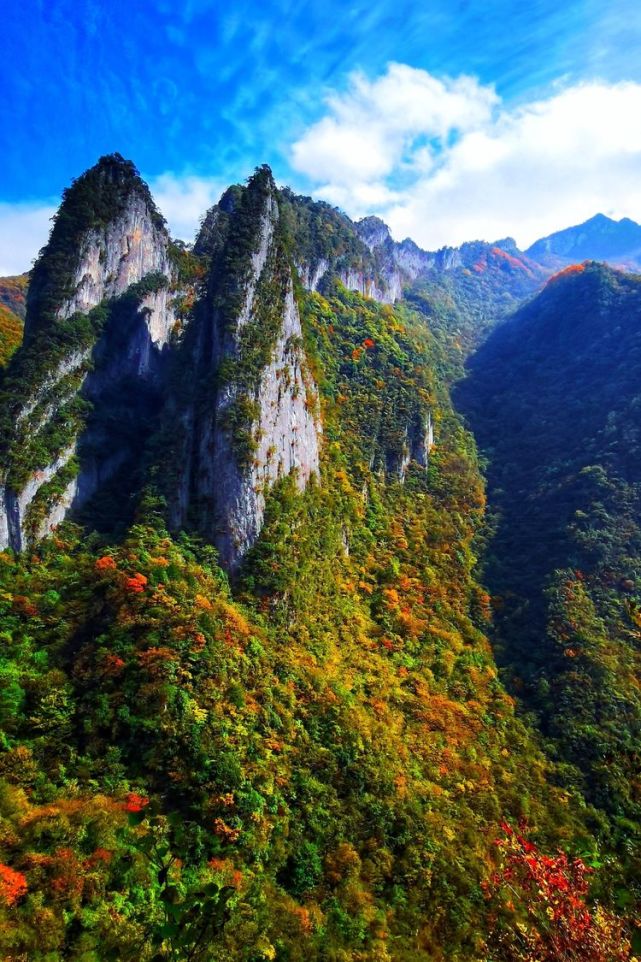 南方观察|山壮美,树色美,水柔美——"神农架秋韵"摄影赏析