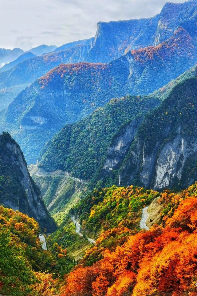 山的壮美之七山的壮美之八第二集 树的色美树的色美之一树的色美之二