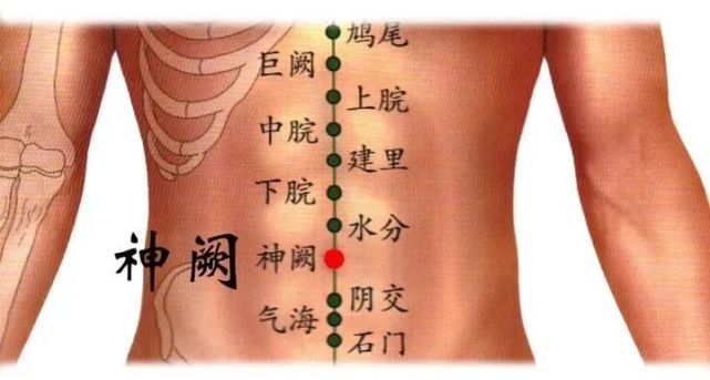 《黄帝内经》把人比作天地,肚脐以上为天,肚脐以下为地,肚脐属任脉