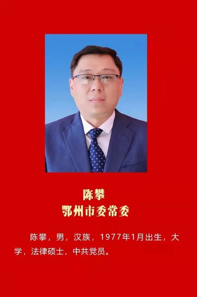 本次会议之前,陈攀曾先后担任共青团鄂州市委副书记,华容区副区长