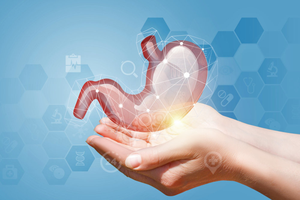 田坤道|吃好喝好需要胃好消化好,科学养胃,打赢这场健康保"胃"战