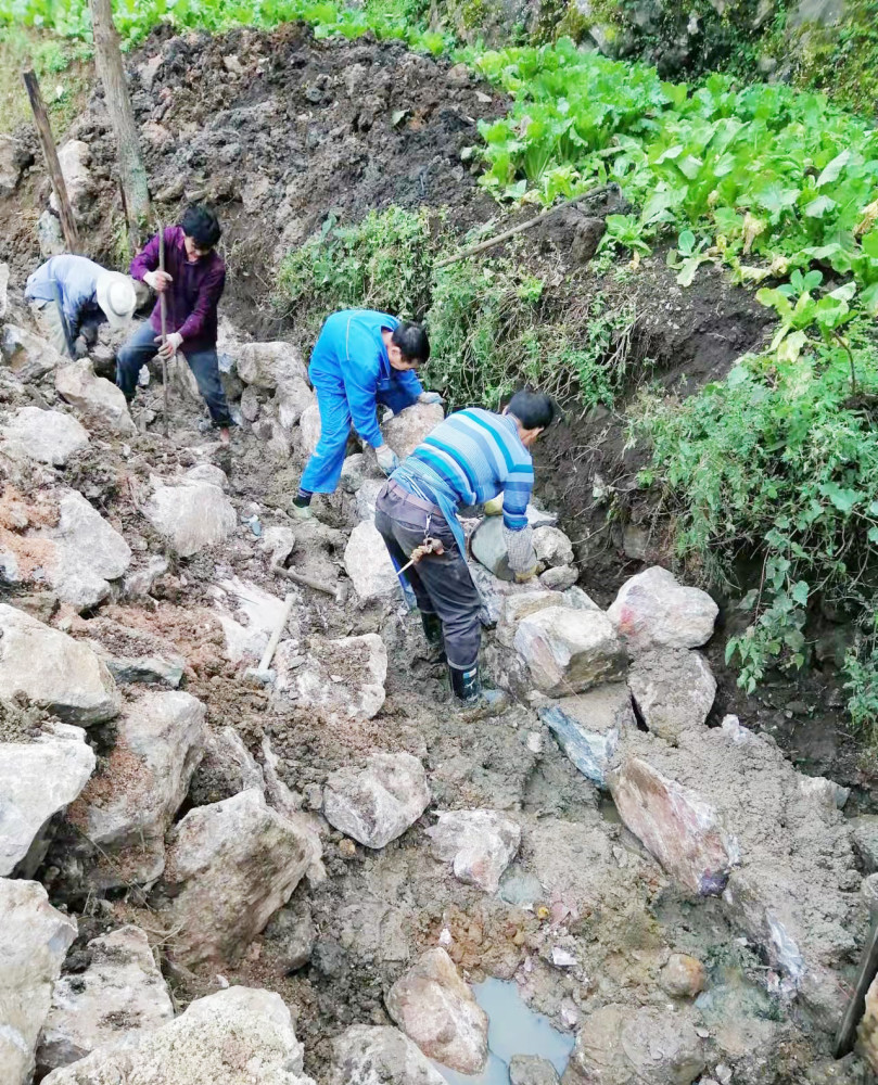 灌溉和排水工程,田間道路工程等,建設地址位於六枝特區巖腳鎮,大用鎮