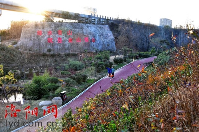 西工区金水河湿地公园:生态新画卷 美景入眼来【组图】