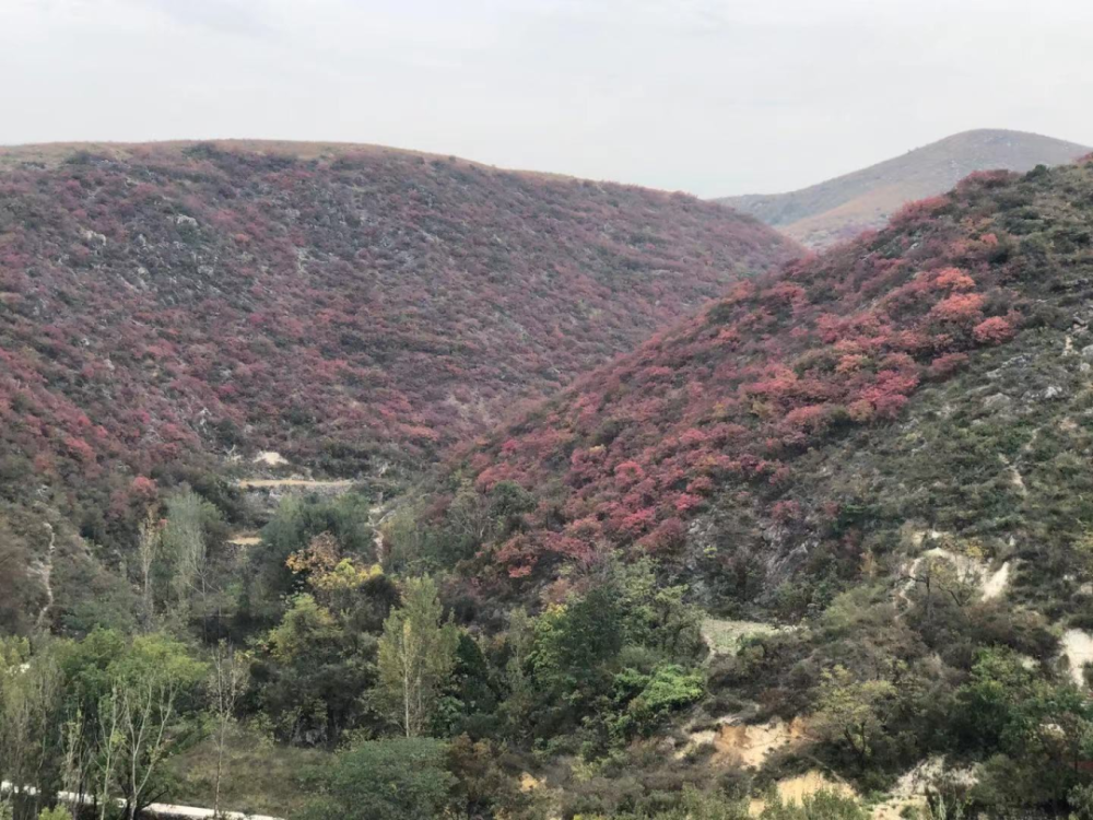 镇平红岭山的旅游景点图片