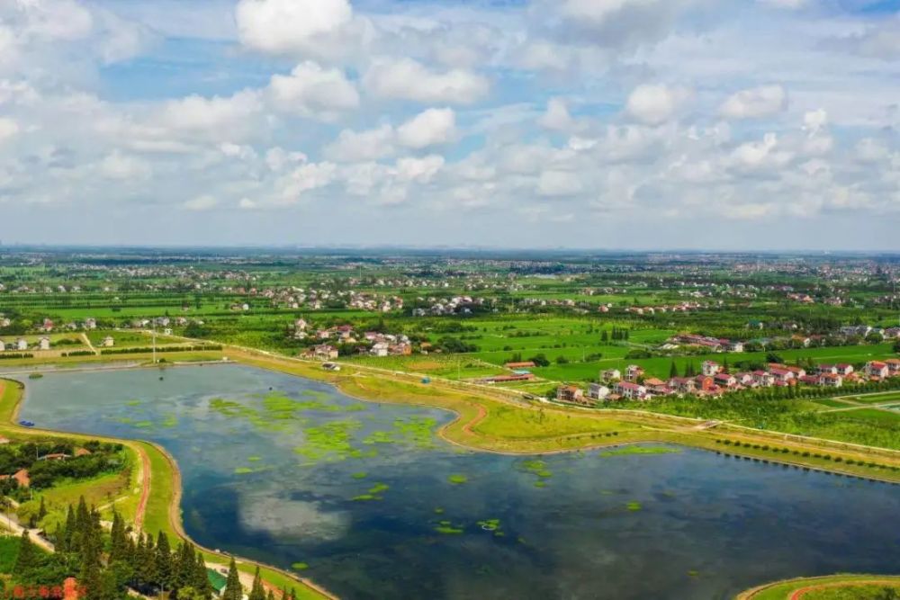 一草一花一湖看崇明三星镇海棠湖的华丽变身