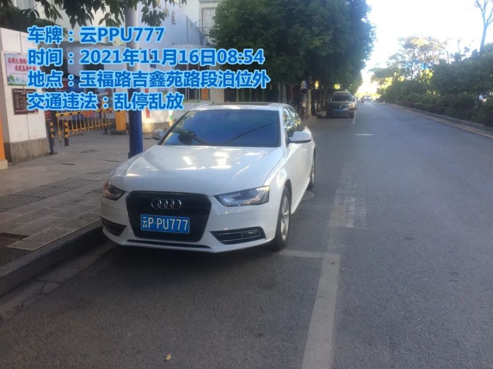 麗江現場這些車輛亂停亂放被曝光車牌