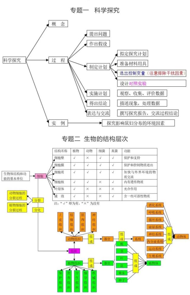 細胞|心室|心臟|血液|初中生物