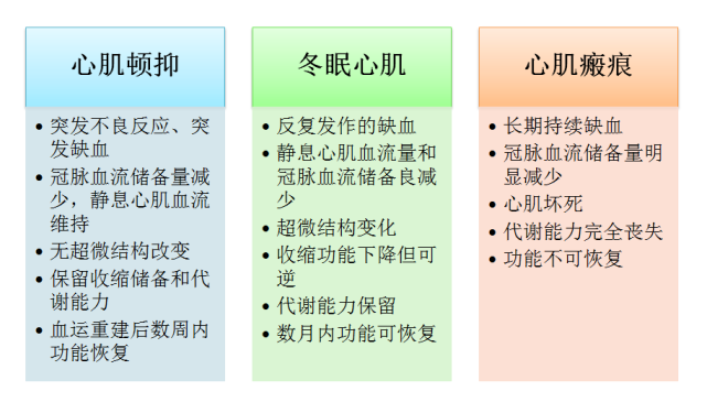 因慢性冠脈供血不足,反覆,間隔性的心肌缺血造成的心肌超微結構改變