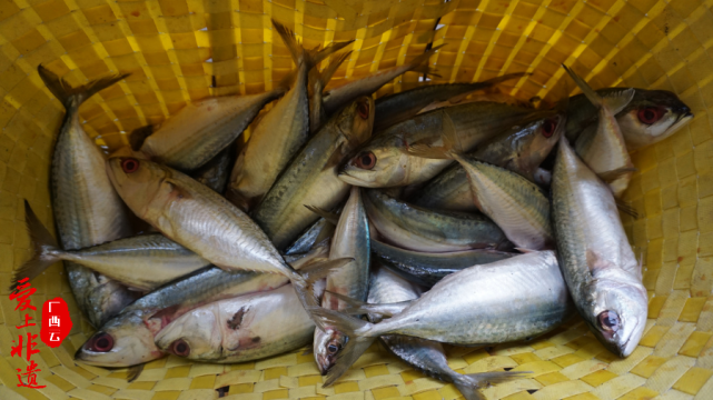 江欢 摄京族鱼露的制作看似并不复杂,实则多有讲究.