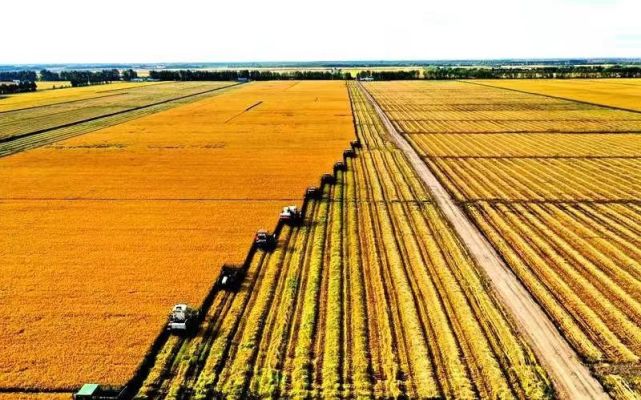 十八连丰背后在黑龙江现代化国营农场里人们都在忙些什么