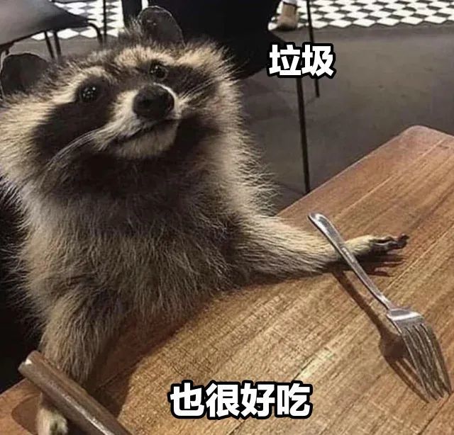 会有小浣熊喜欢我吗!今天也是当快乐垃圾的一天!